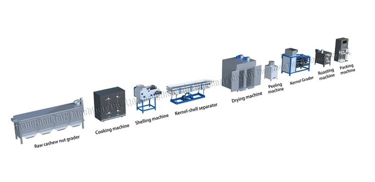 Cashew Nut Processing Machine