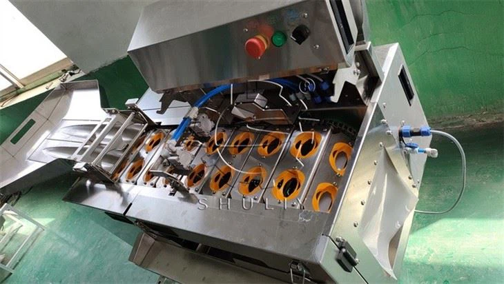 egg yolk separator (2)